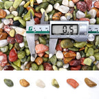 2.2 lb Pebbles for Indoor Plants, 1/2 Inch Decorative Rocks for Potted Plants - Image 2