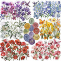 Pengxiaomei 522 Pcs Flower Stickers by Pengxiaomei