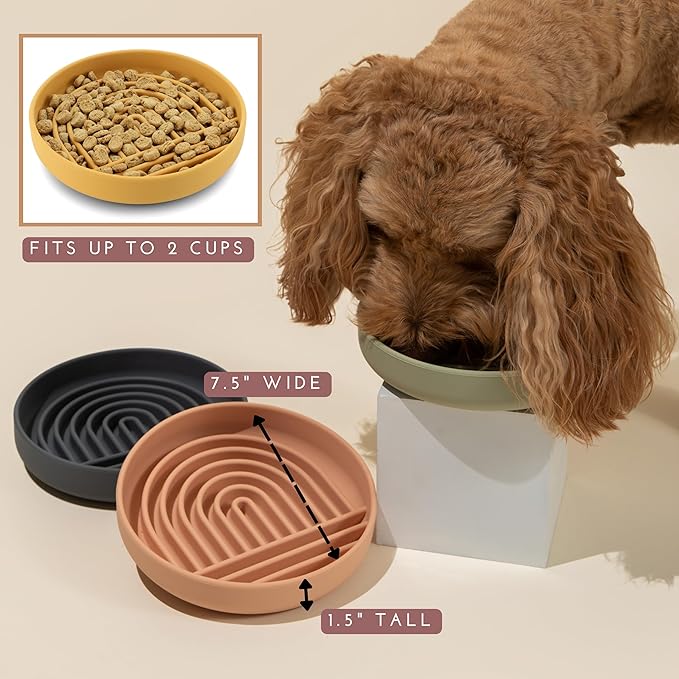 Should We Go? Slow Feeder for Dogs & Puppies, The Slowdown Bowl Silicone Slow Eating, Modern Lick Mat Design, Reduces Gulping, Fits 2 Cups, 7.5” Across x 1.5” Tall, Mealtime Challenge, Medium-Ocean