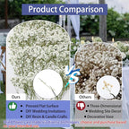 168Pcs Babys Breath Mini Dried Pressed Flowers - Image 7