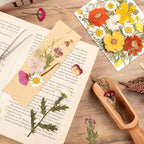 140pcs Dried Pressed Flowers Bulk, Natural Fall Pressed Dried Flowers - Image 6
