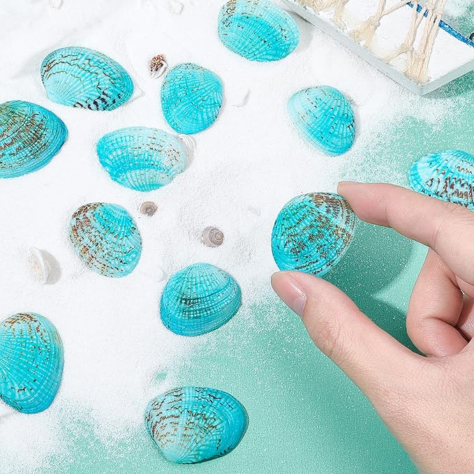 PH PandaHall 35pcs Blue Natural Seashell Bead, 32~37mm Undrilled Dyed Scallop - Image 5
