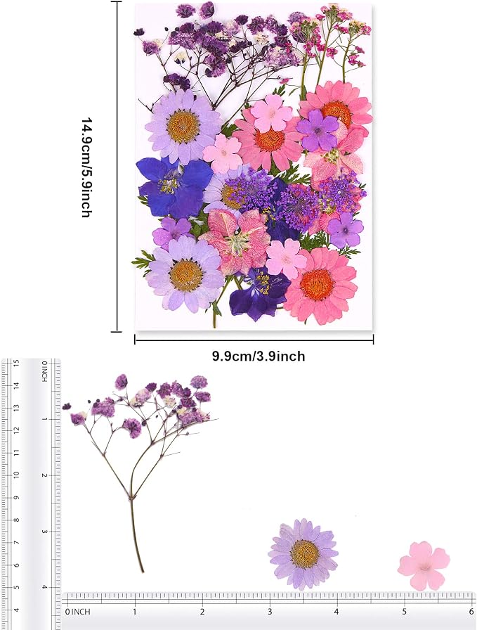Augshy Dried Pressed Flowers for Resin, Natural Purple Dried Pressed Flowers - Image 2