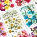 36Pcs Dried Pressed Flowers for Resin DIY Art Crafts Natural Dry Floral Daisy - Image 5