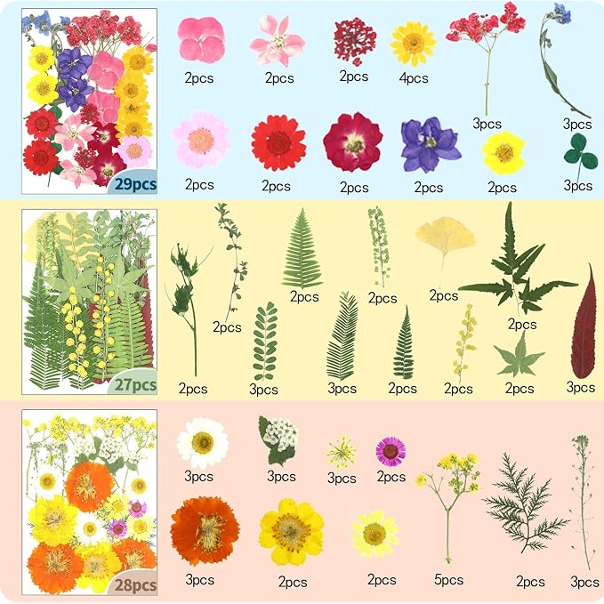 210 Pcs Dried Pressed Flowers for Resin, Dried Pressed Flowers for Crafts - Image 3