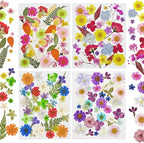 150 Pcs Pressed Flowers Bulk Dried Flower - Image 7