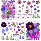 MIKIYA 54Pcs Purple Pressed Dried Flowers - Image 6
