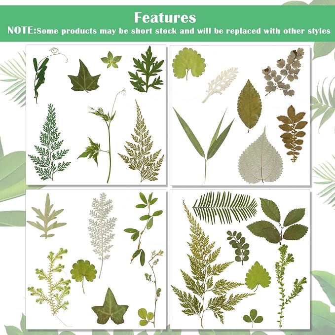 Timtin 84 Pieces Dried Pressed Leaves Flowers - Image 3
