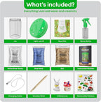 Dan&Darci Light-Up Terrarium Kit - Image 3
