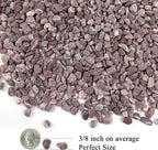 FANTIAN 5 lbs Succulent and Cactus Pebbles - Image 3