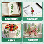 120Pcs Pressed Dried Eucalyptus Leaves - Image 6