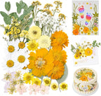 Dried Pressed Flowers for Resin, Scrapbooking, Soap Candle Making, DIY by VitalForest