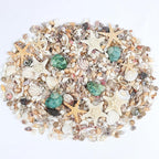 Fangoo 1500 Pieces Small Sea Shells Conch Natural Starfish Mixed Agate Pebble - Image 3