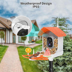 Bird Feeder with Camera, AI Identify Birds Species, Smart Birds Camera with - Image 4