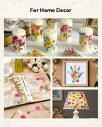 Dried Flowers, Resiners 100Pcs Pressed Flowers - Image 3