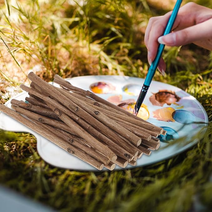 Didiseaon 100pcs 3. 9-inch Natural Wood Sticks, Tea Tree & Boxwood, Driftwood - Image 6