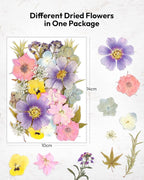 Dried Flowers, Resiners 100Pcs Pressed Flowers - Image 6
