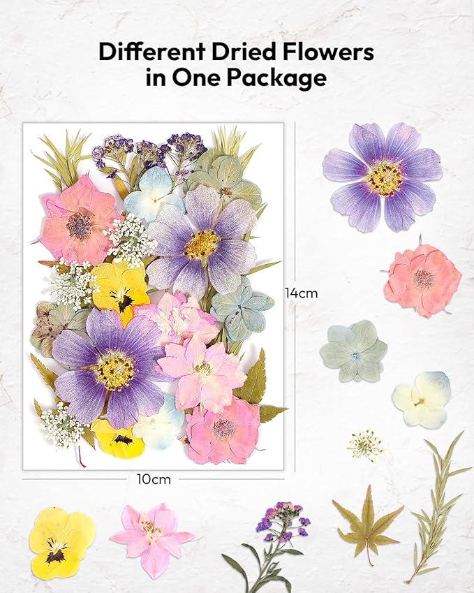 Dried Flowers, Resiners 100Pcs Pressed Flowers - Image 6