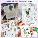 12“ Large Bulk Summer Dried Pressed Flowers - Image 3