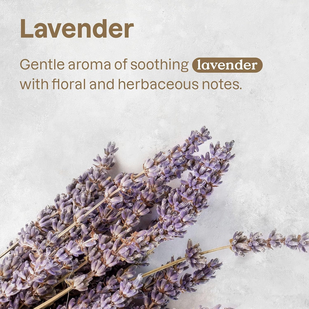 ATTITUDE Fabric Refresher for Pets, Neutralizes Odors, Plant and Mineral-Based Ingredients, Vegan and Cruelty-free, Lavender, 16 Fl Oz