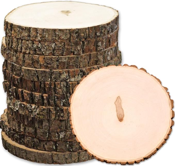 Wilson 12 Pack Basswood Round Rustic Wood Slice, Sanded Side, 9-12" Diameter by Wilson