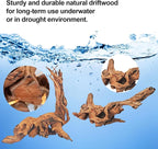 Natural Driftwood Decor for Aquarium Decorations Reptile Tank Accessories - Image 4
