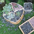 7lb Natural River Rocks Pebbles - Image 7