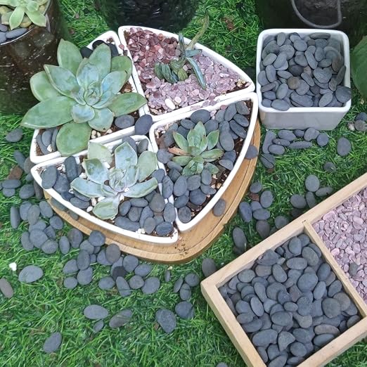 2.4lb River Rocks Pebbles for Plants & Succulents, Decorative Outdoor - Image 7