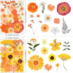 110Pcs Fall Dried Pressed Flowers - Image 3