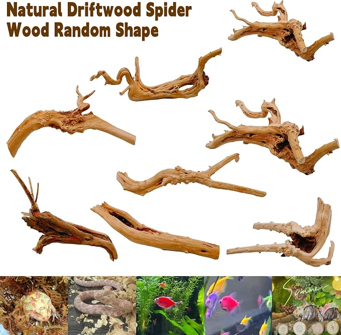 Hamiledyi 6PCS Aquarium Driftwood 6-8in Natural Spider Wood Branches Reptiles - Image 7