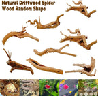 Hamiledyi 6PCS Aquarium Driftwood 6-8in Natural Spider Wood Branches Reptiles - Image 7