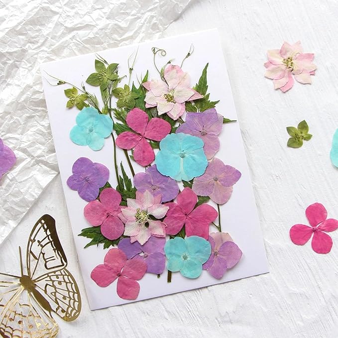 Woohome 200 PCS Natural Dried Pressed Flowers and Natural Dried Pressed Leaves - Image 6