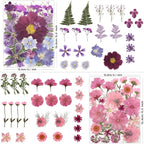 LUXEEASE 100P Pink Purple Blue Dried Pressed Flowers | Soft romantic shades - Image 3