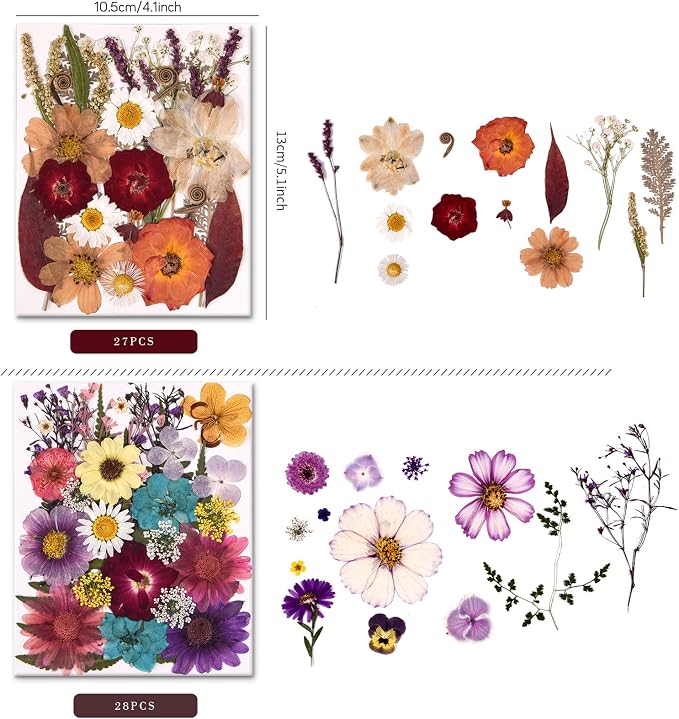 5 Packs of 140 Pressed Dried Flowers and Leaves - Image 2