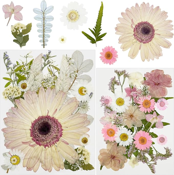 Woohome 44 PCS Pressed Flowers Natural Dried Flowers Pink Resin Flowers Real by Woohome