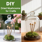 16-Pack Mini Mushrooms for Crafts - Image 6
