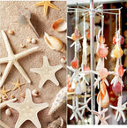 Jangostor Sea Shells Mixed Ocean Seashells, 1.2"-3.5" Various Sizes Beach - Image 4