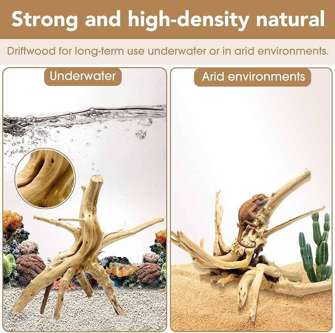 Jorewood Natural Large Spiderwood Driftwood - Image 3
