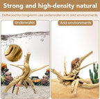 Jorewood Natural Small Spiderwood Driftwood - Image 3