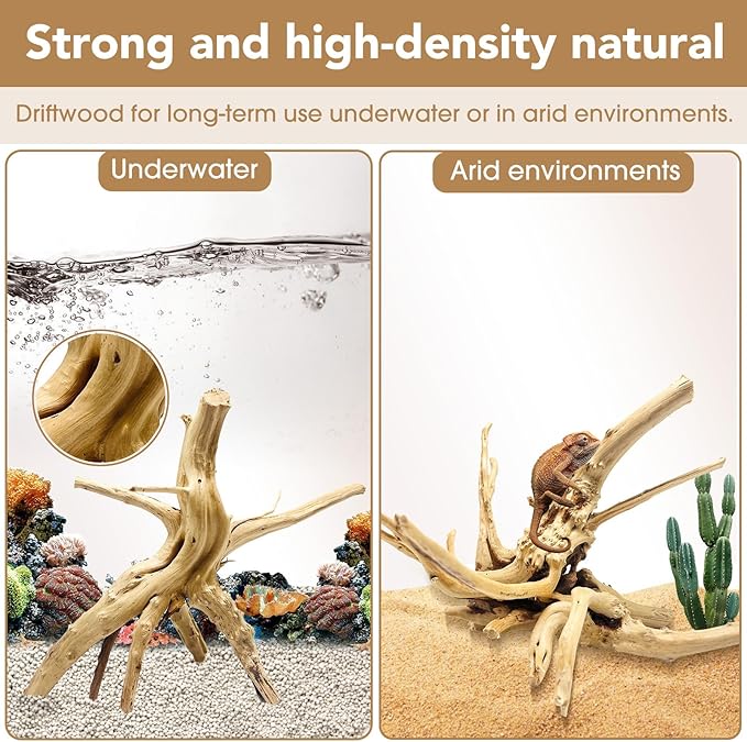 Jorewood Natural Large Spiderwood Driftwood - Image 3