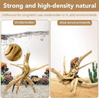 Jorewood Natural Large Spiderwood Driftwood - Image 3