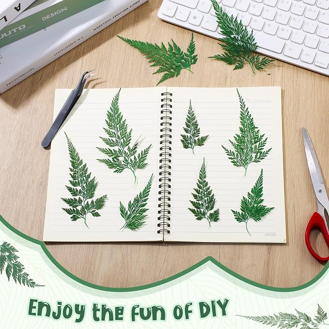 200 Pcs Dried Pressed Green Leaves Flowers Small Dry Preserved Natural Ferns - Image 4