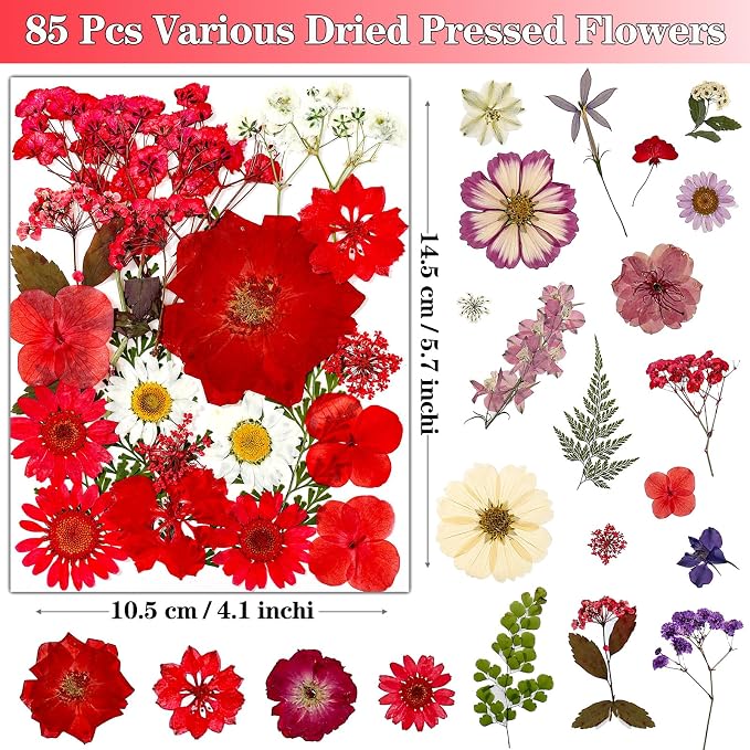 85Pcs Pressed Flowers for Crafts, Real Dried Flowers for Crafts Dried Pressed - Image 2