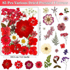 85Pcs Pressed Flowers for Crafts, Real Dried Flowers for Crafts Dried Pressed - Image 2