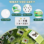 12 PCS Real Insect Resin Specimen, Science Education Bug Collection | Preserved - Image 2