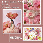 MIKIYA 90Pcs Pink Dried Pressed Flowers - Image 2