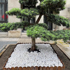FANTIAN 20 lbs White Rocks for Landscaping, 2-3 Inch Large River Rocks. - Image 5