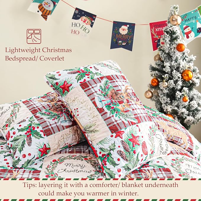 Exclusivo Mezcla Reversible Christmas Quilts Twin Size - Image 5