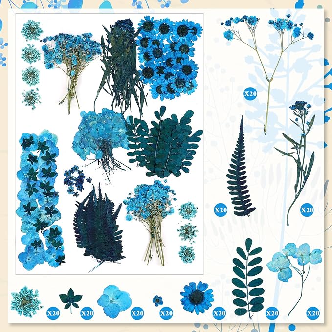 Fabbay 200 Pcs Dried Pressed Flowers Real Dry Natural Flower Leaf Dried Flowers - Image 3