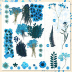 Fabbay 200 Pcs Dried Pressed Flowers Real Dry Natural Flower Leaf Dried Flowers - Image 3
